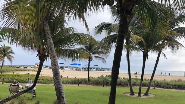 Ett område vid stranden med palmer, en gräsplätt och utsikt över stranden med parasoller och folk.