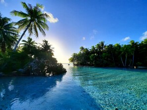 A clear view of a tropical beach with palm trees and a calm sea. - Pension Motu Aito Paradise (Fakarava)