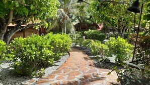 Un chemin de pierres dans un jardin où l’on trouve différentes plantes et différents arbres.