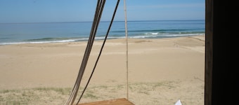 THE COW ON THE BEACH 500 MTS FROM THE SEA IN CHACRA MARINA PRIVADA EL TRIANGULO