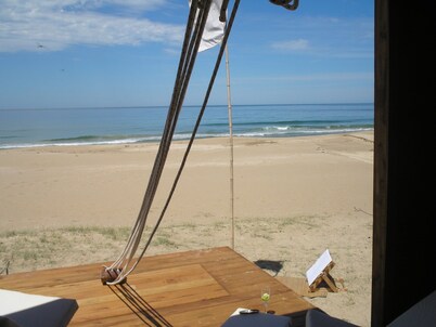 THE COW ON THE BEACH 500 MTS FROM THE SEA IN CHACRA MARINA PRIVADA EL TRIANGULO