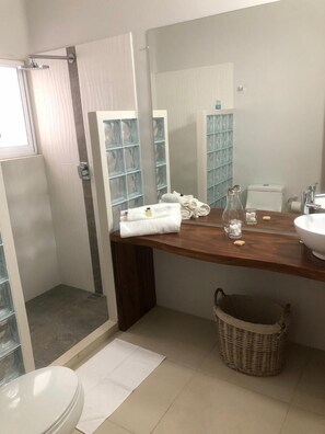 Departamento estándar | Baño | Regadera, amenidades de baño gratuitas, secadora de cabello, toallas 