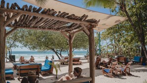 Una cabana de fusta a la platja amb teulada de palla, envoltada de gandules i una palmera.