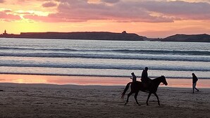 Escena de playa con un jinete y un caballo, y una persona caminando.