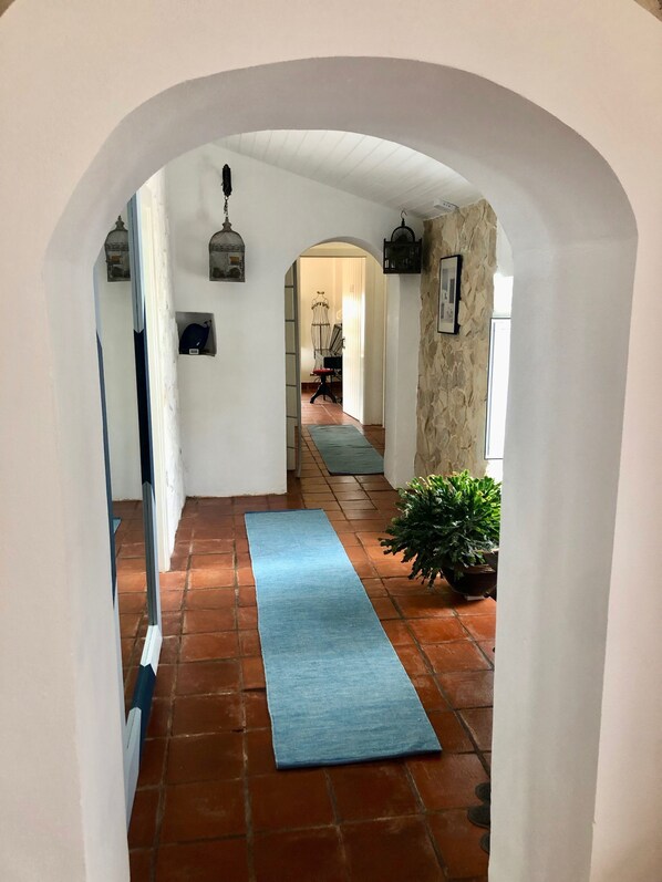Un pasillo con un tapete azul, una planta en maceta y una silla al fondo.