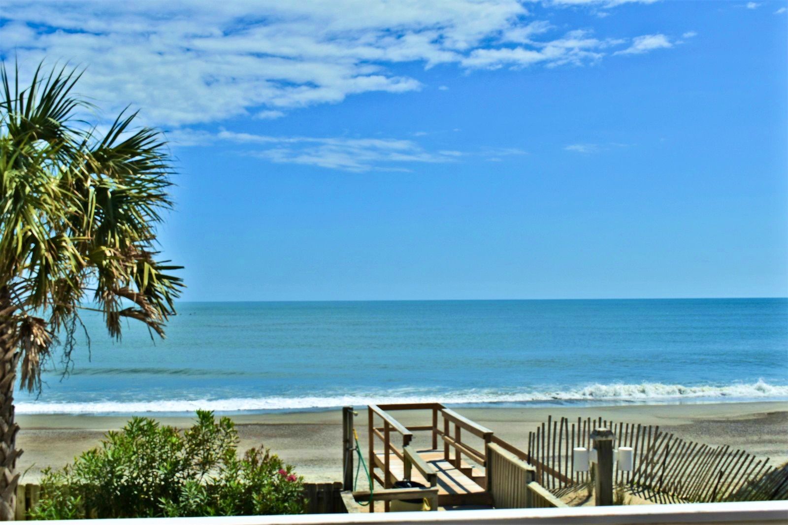 A beach view with a wooden deck and a palm tree.