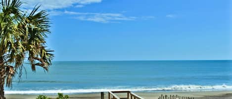 A beach view with a wooden deck and a palm tree.