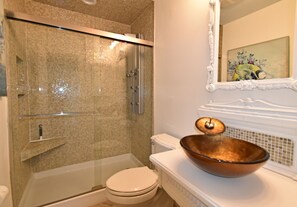 Shower, hair dryer