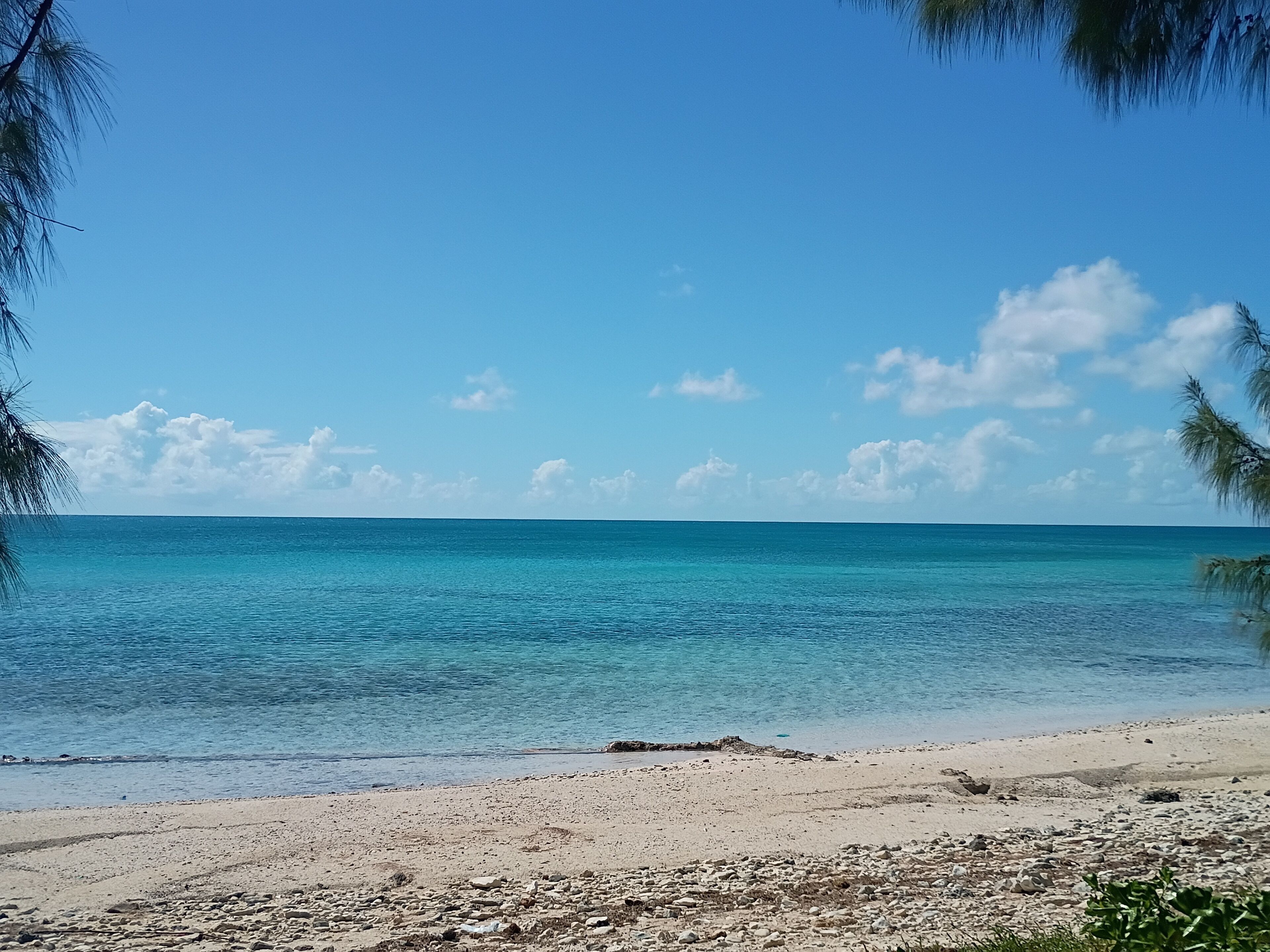 Plage à proximité, chaises longues, serviettes de plage