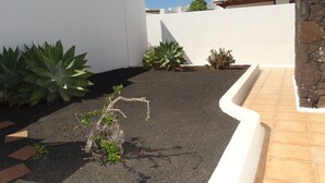 Un jardin aménagé avec différentes espèces de plantes et un mur blanc.