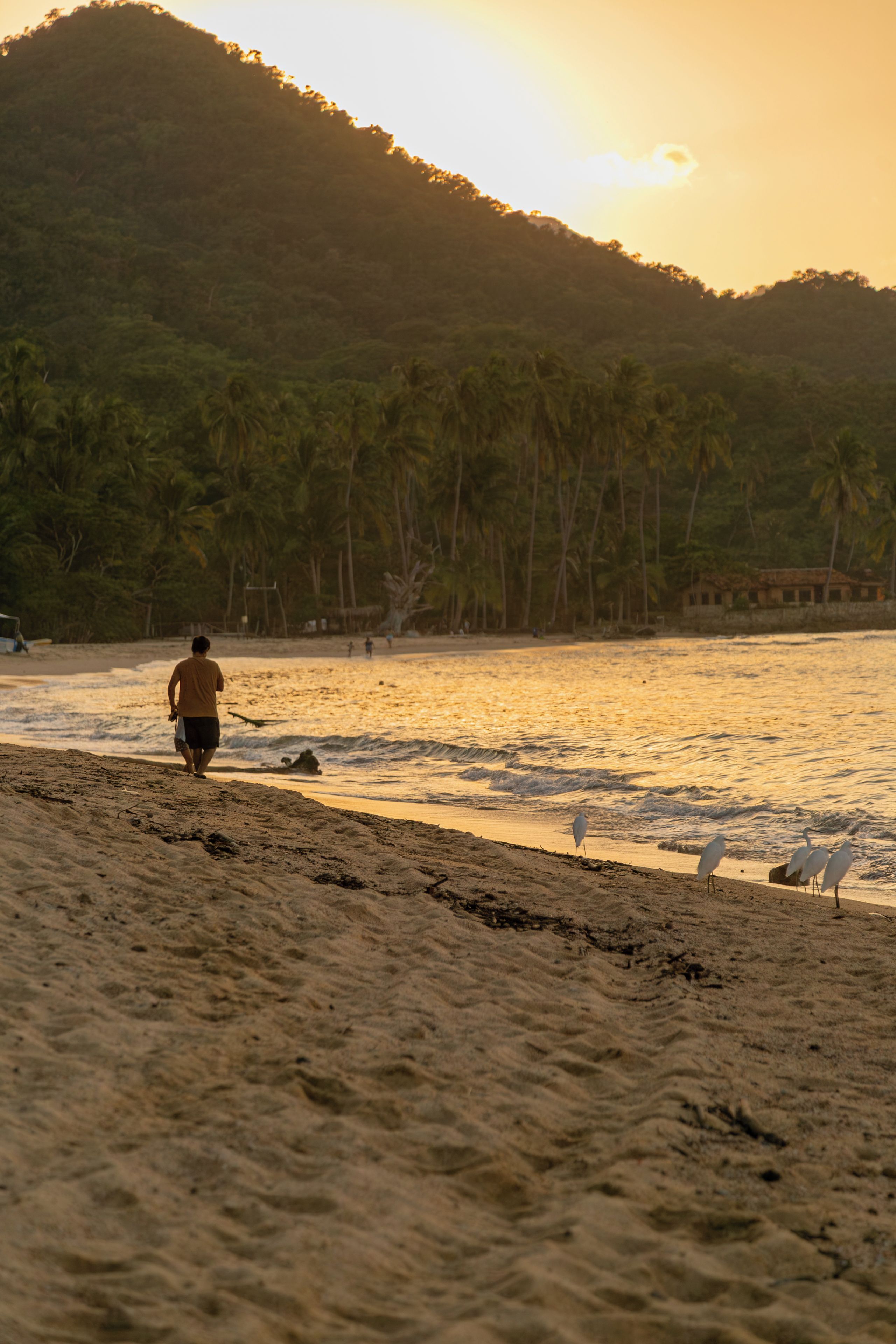 Une scène de plage avec une personne qui marche vers l’eau, des palmiers et une montagne en arrière-plan.