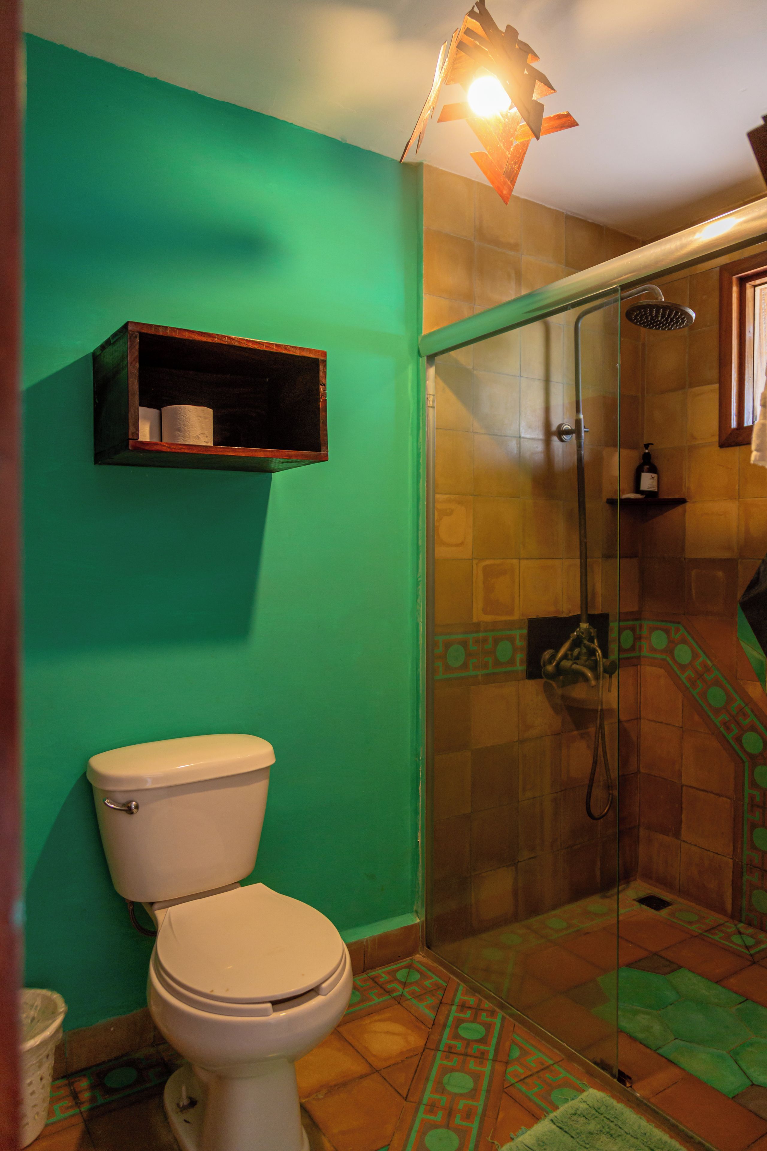 Ein Badezimmer mit Toilette, Dusche und einer grünen Wand.