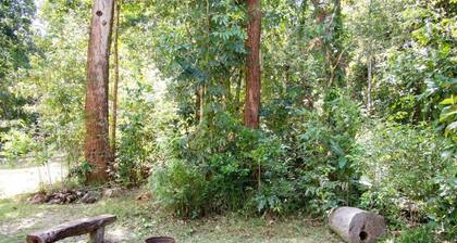 Escondite de la selva tropical de Moo Creek