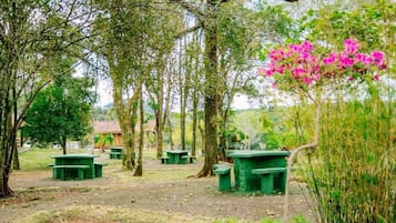 Jardim