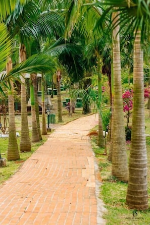 Garden - Anila Thermas Hotel (Francisco Beltrao)