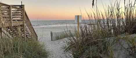 بالقرب من الشاطئ، كراسي للتشمس