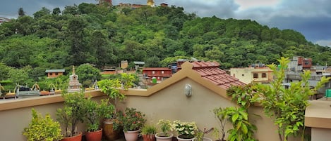 Terrein van de accommodatie