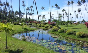 A serene garden with a pond, palm trees, and well-maintained grass.