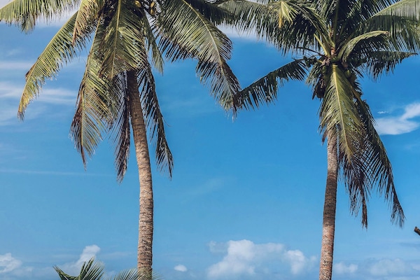Plage, chaises longues, serviettes de plage