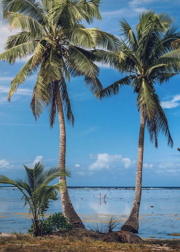 En la playa, camastros y toallas de playa