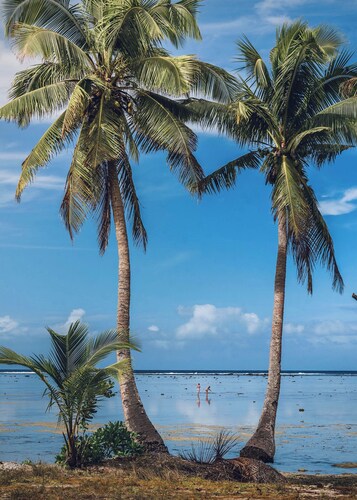 Seahorse Bungalow - Truly beachfront, unobstructed ocean view,  private, clean