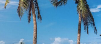 Seahorse Bungalow - Truly beachfront, unobstructed ocean view,  private, clean