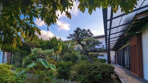 Un jardín con diversas plantas y un árbol grande.