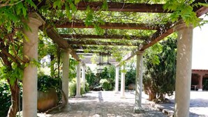 Unclassified image, 4 of 71, button - Finca Casa Palacio (10 min Puy du Fou, 6 km Toledo) (Arges)