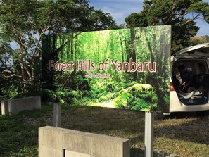 A sign for the Forest Hills of Yanbaru with a forest background. - Yanbaru Forest Hills (Motobu)