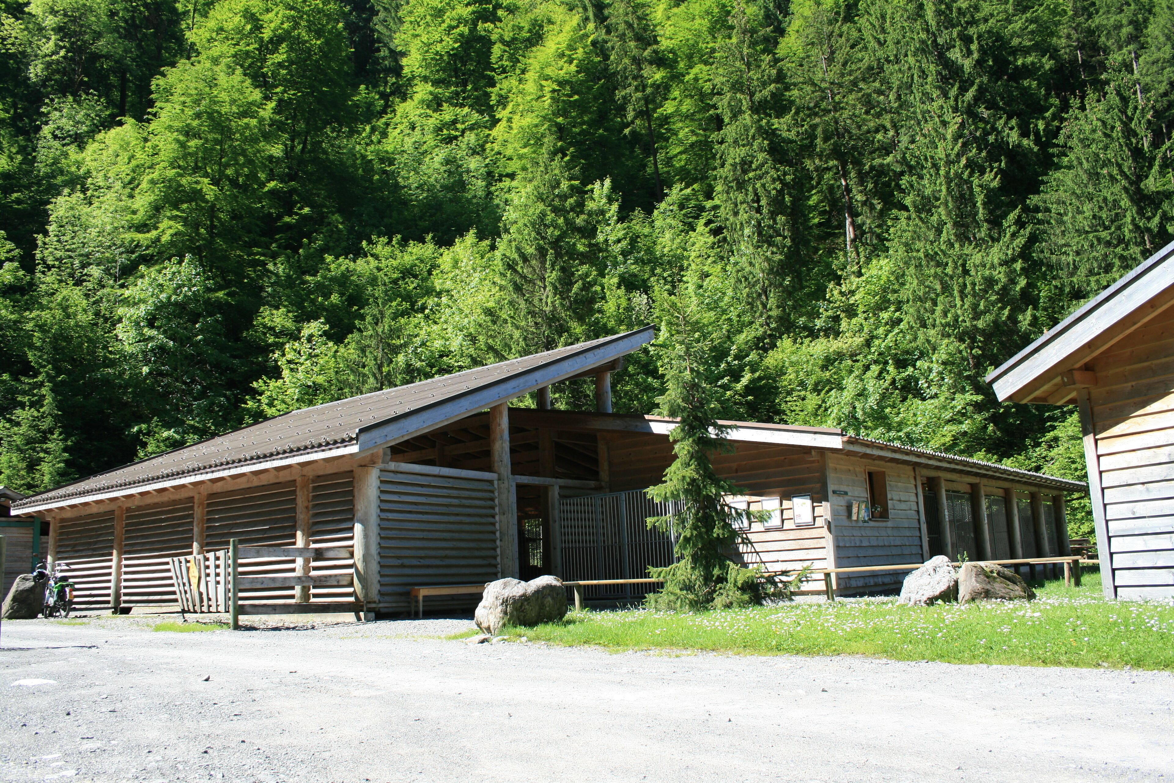 A rustic cabin with a sloped roof and wooden walls, surrounded by a forest.