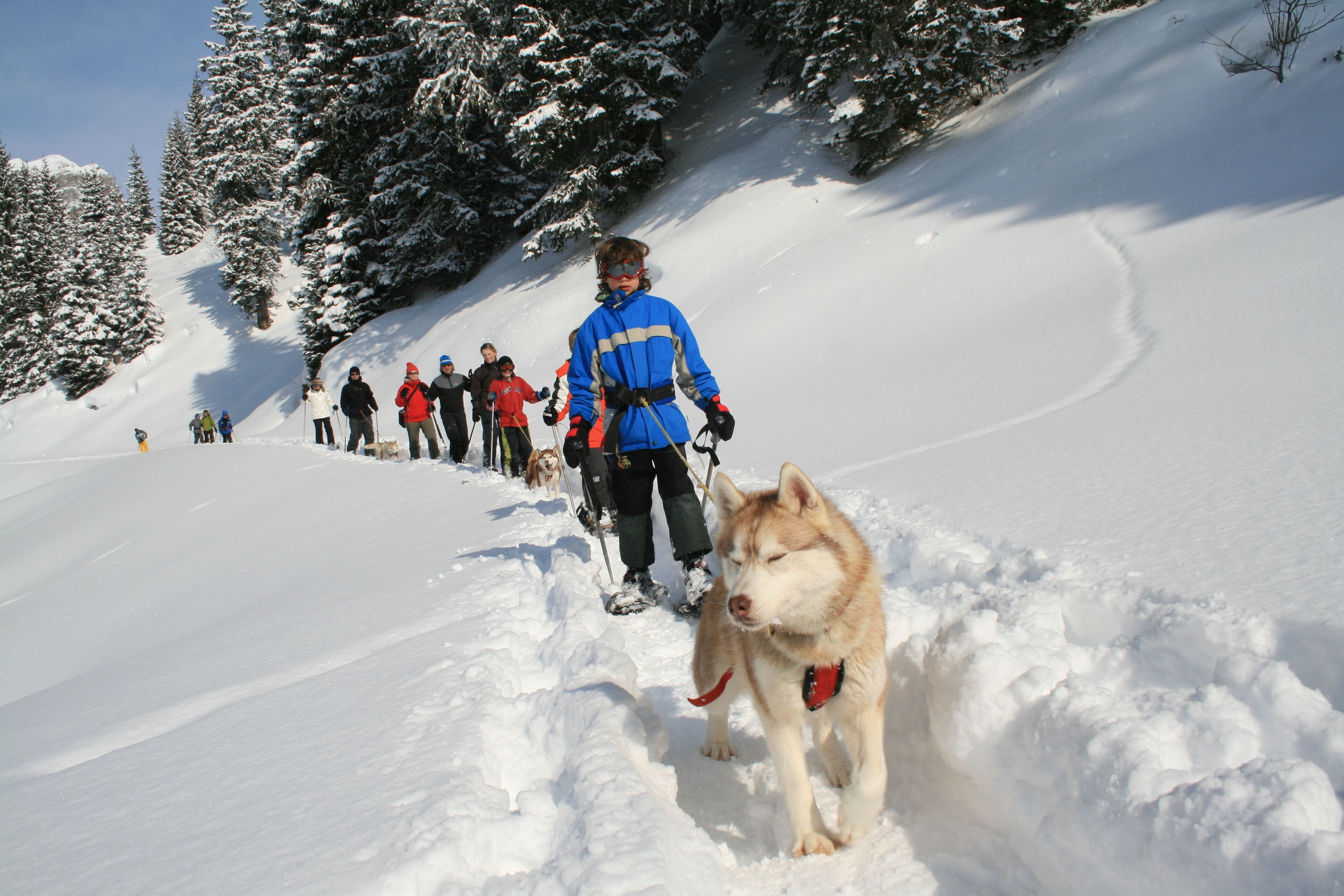 Paesaggio innevato con un gruppo di persone e una squadra di cani da slitta.