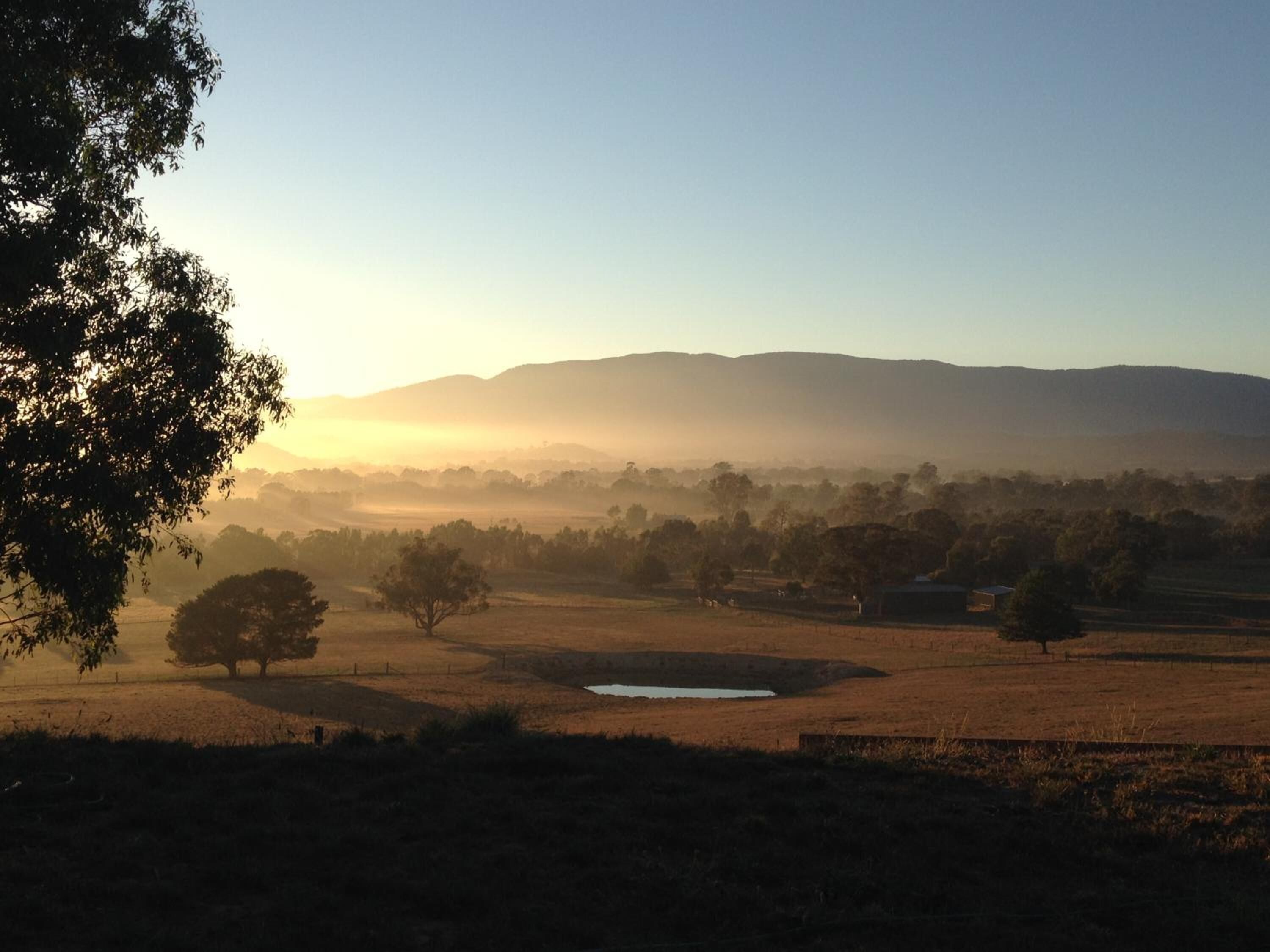 A rural landscape with a clear sky, a few scattered trees, and distant hills.