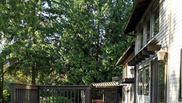 A wooden deck with potted plants, a black railing, and a building with large windows. - POWER ON - The Forest Rooms -- A Peaceful Oasis close to everything (Issaquah)