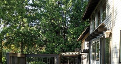 Metsähuoneet - rauhallinen keidas lähellä kaikkea