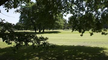 Un campo de golf con árboles y un césped bien cuidado.