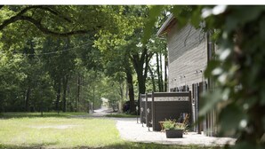 Een pad dat leidt naar een gebouw met een overdekt terras.