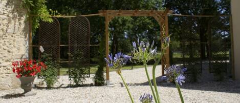 A garden with a pergola, gravel ground, and a stone wall.