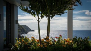 Un bâtiment moderne offrant une vue sur l’océan, avec un espace paysager agrémenté de fleurs et d’un palmier.