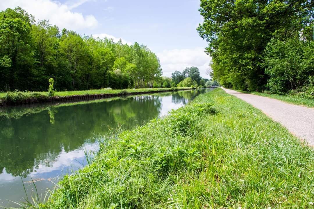 Un río tranquilo con un sendero cubierto de hierba a su lado.