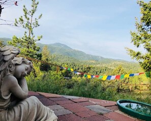 Nicht klassifiziertes Bild, 3 von 24, Schaltfläche