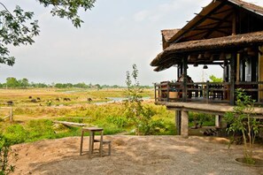 Family Room | Lake view - Sapana Village Lodge (Sauraha)