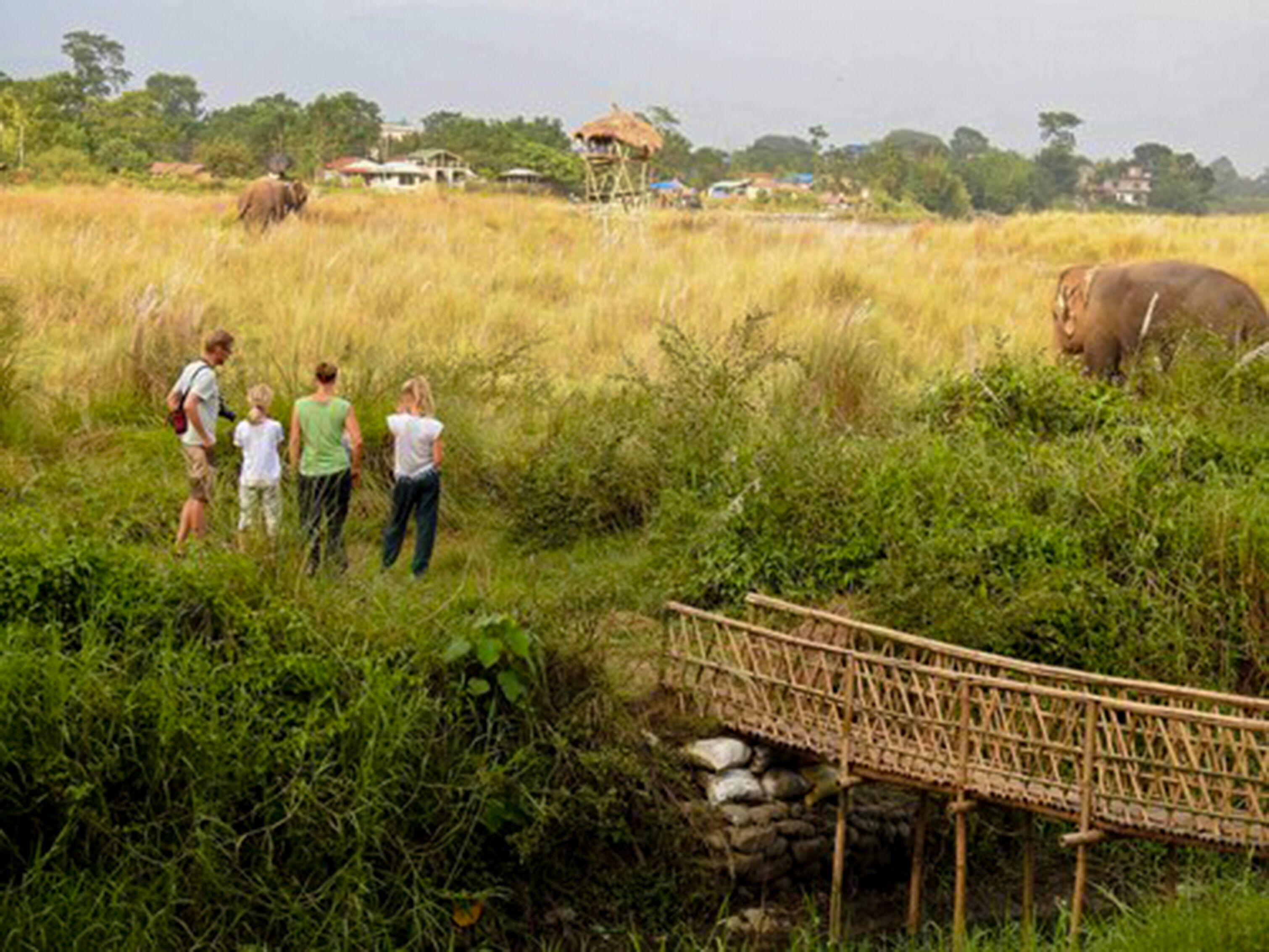 A group of people observing wildlife in a natural setting with a bridge and a thatched-roof structure in the background.