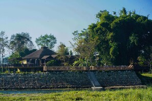 Restaurant - Sapana Village Lodge (Sauraha)