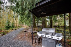 BBQ/picnic area - 03MBH - WIFI -Pets OK - Sleeps 26 (Deming)