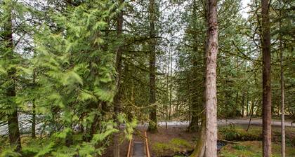 56SLL - Fireplace - Inexpensive - Kitchenette - Sleeps 4