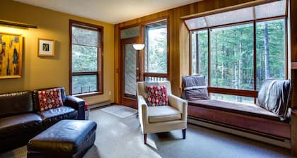 41SW - Sauna - WiFi - Fireplace - Sleeps 8