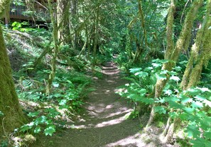 Hiking