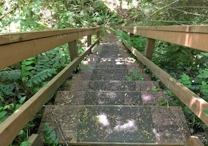 Wandelen
