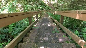A wooden staircase leading uphill, surrounded by dense foliage. - 99MBR - Hot Tub - WiFi - Pets Ok - BBQ - Sleeps 6 (Deming)