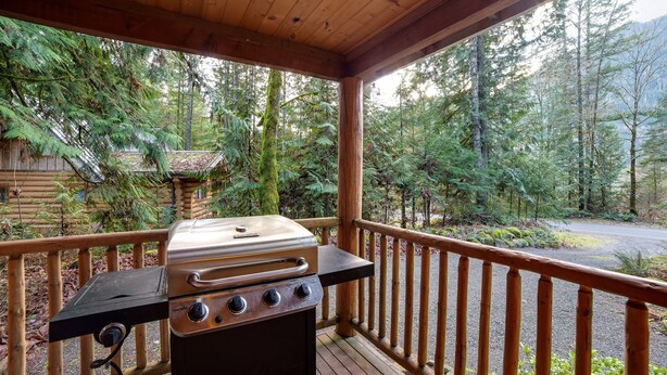 BBQ/picnic area - 095GS - Hot Tub - WiFi - Pets Ok - Sleeps 4 (Deming)